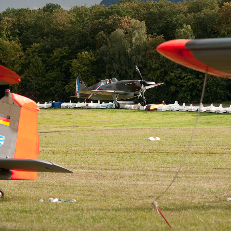 Morane Saulnier MS 406 D-3800