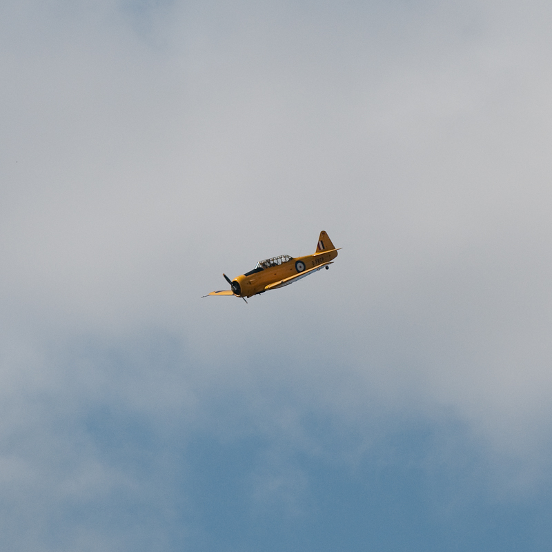 North American T-6 Texan