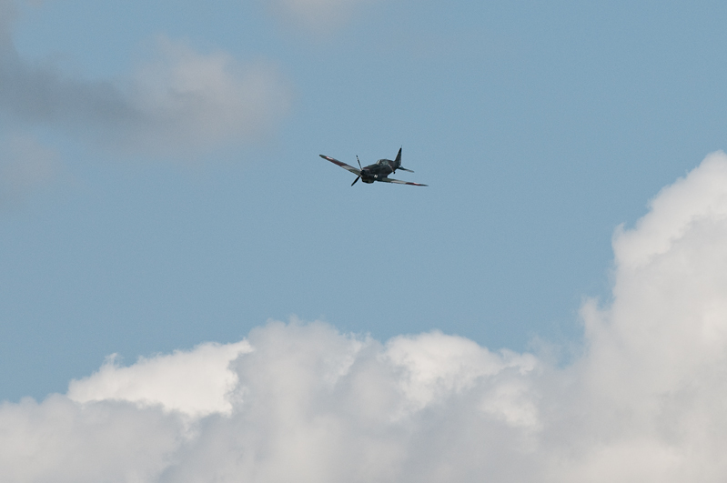 Morane Saulnier MS 406 D-3800